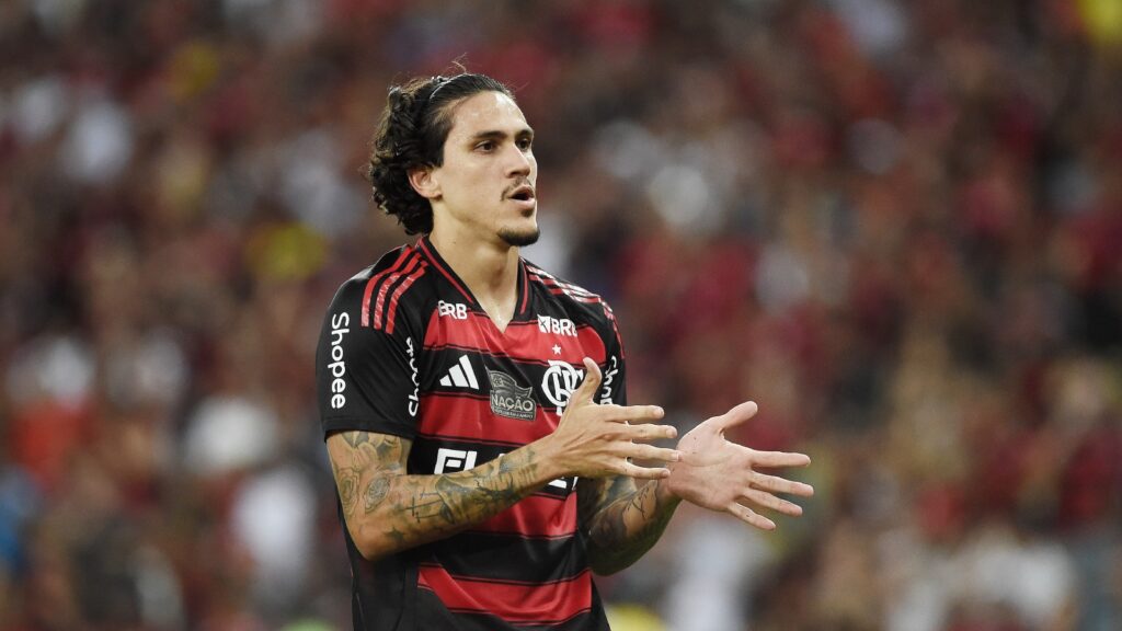 Pedro Flamengo